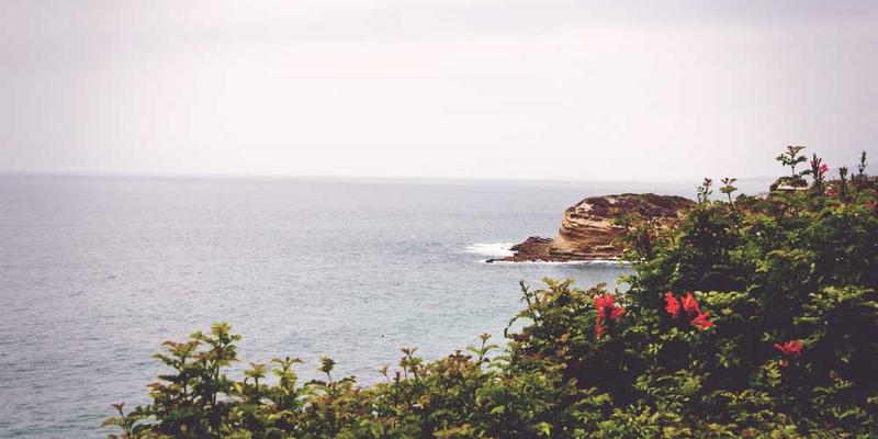 《暗香浮光》